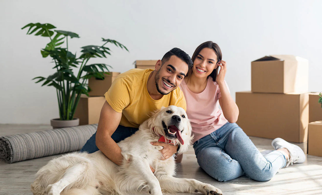 Need A Charming Friend? Buy A Dog