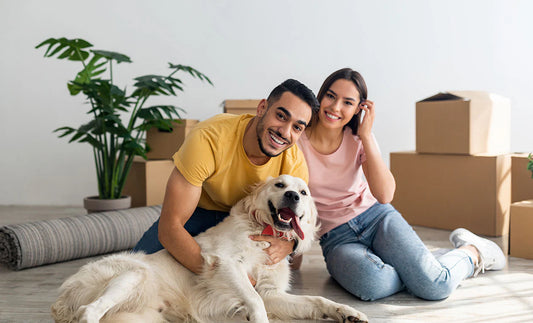 Need A Charming Friend? Buy A Dog