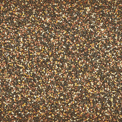 Kaytee Songbird Treat Jar Canary Finch 1ea/9 oz