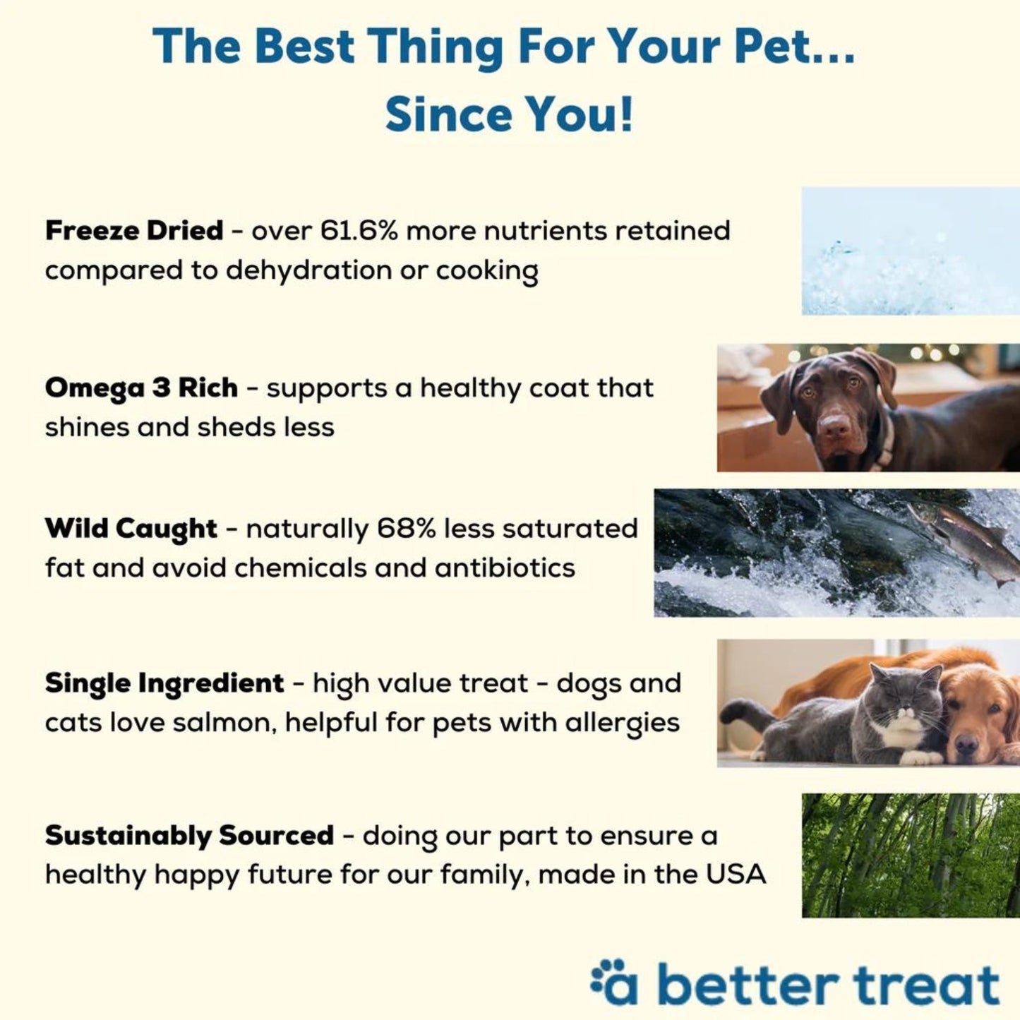 A Better Treat Just One Thing Freeze Dried Dog and Cat Treats Wild Caught Salmon 3oz. (Case of 6) 2 case minimum