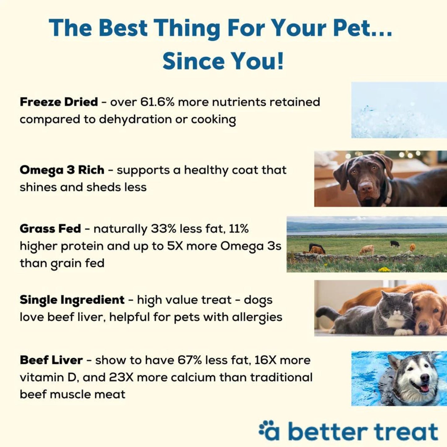 A Better Treat Just One Thing Freeze Dried Dog and Cat Treats Grass Fed Beef Liver 3oz. (Case of 6) 2 case minimum