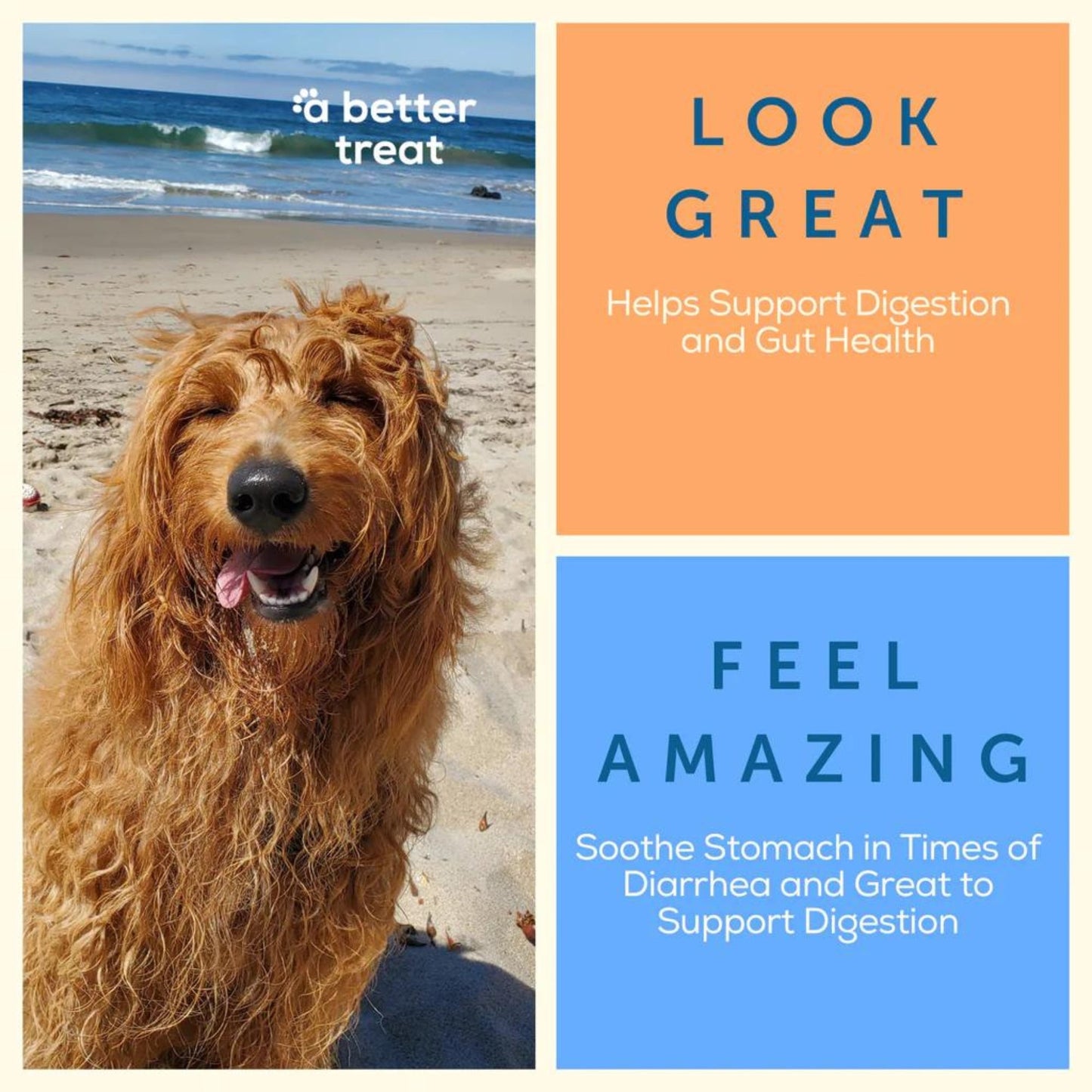 A Better Treat Just One Thing Freeze Dried Dog and Cat Treats USDA Organic Pumpkin 3oz. (Case of 6) 2 case minimum