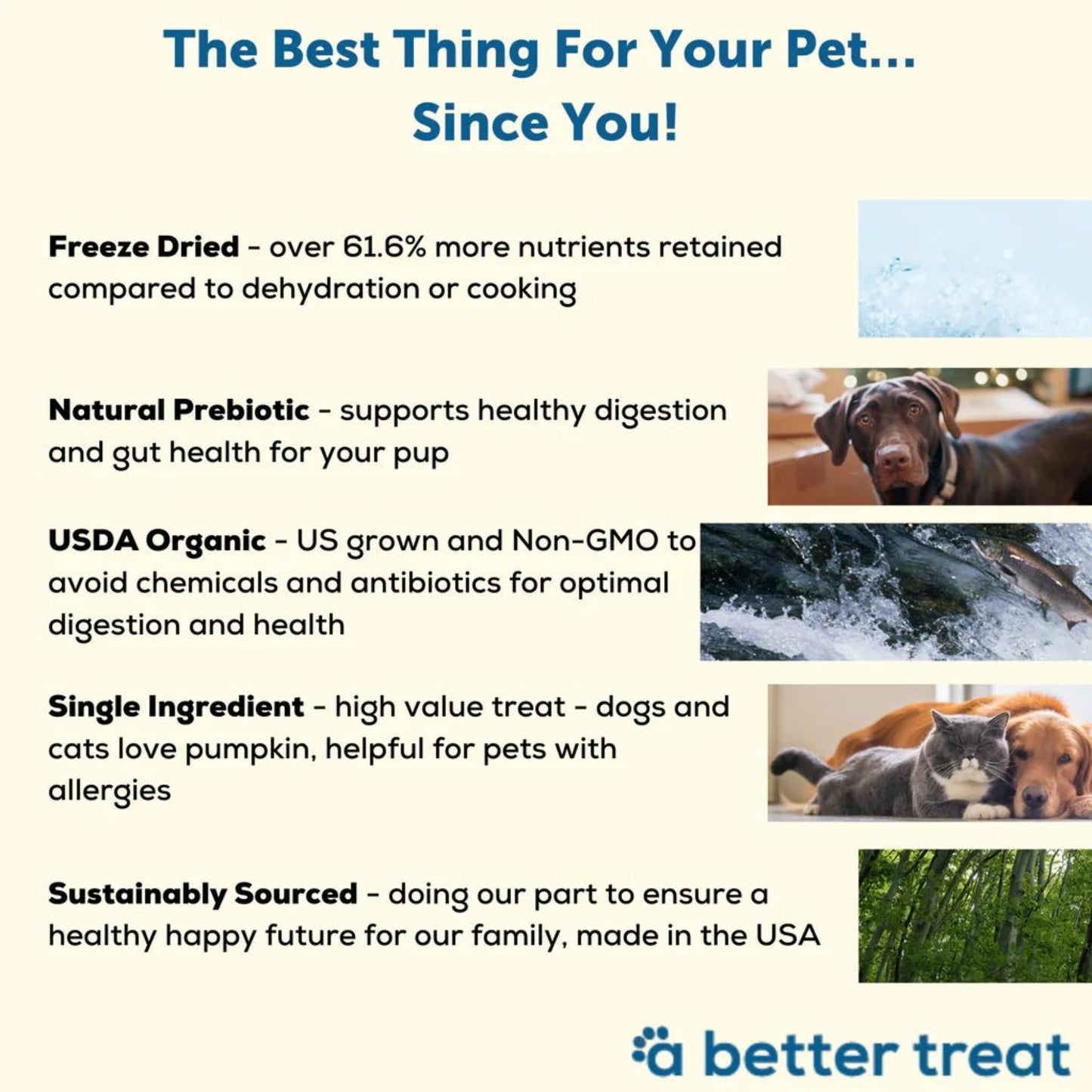A Better Treat Just One Thing Freeze Dried Dog and Cat Treats USDA Organic Pumpkin 3oz. (Case of 6) 2 case minimum